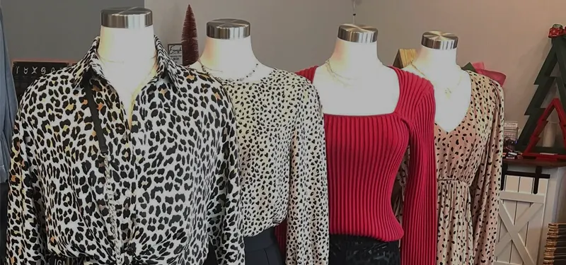 Apricot Lane Boutique